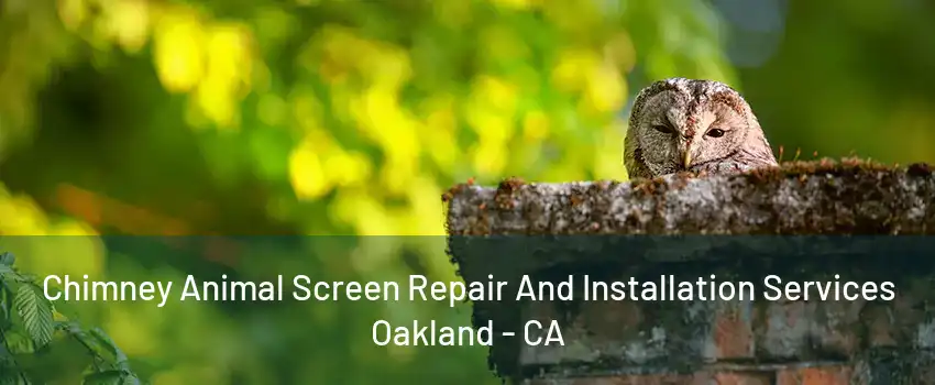 Chimney Animal Screen Repair And Installation Services Oakland - CA