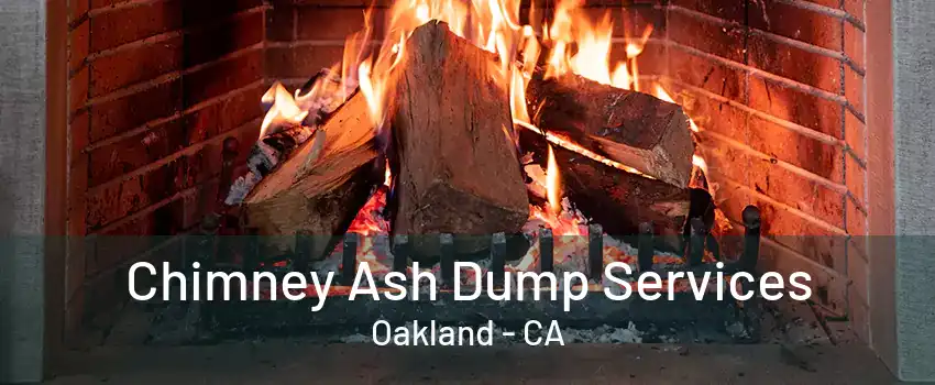 Chimney Ash Dump Services Oakland - CA