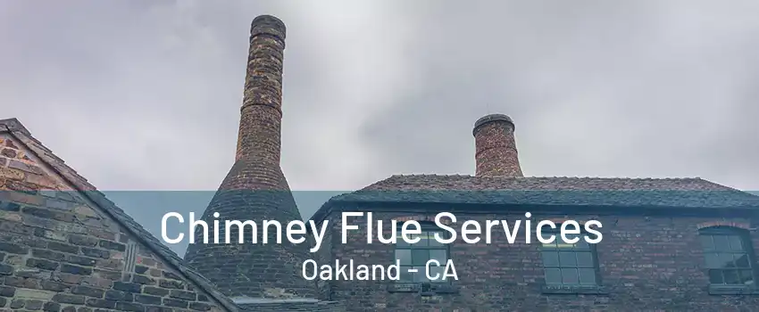 Chimney Flue Services Oakland - CA