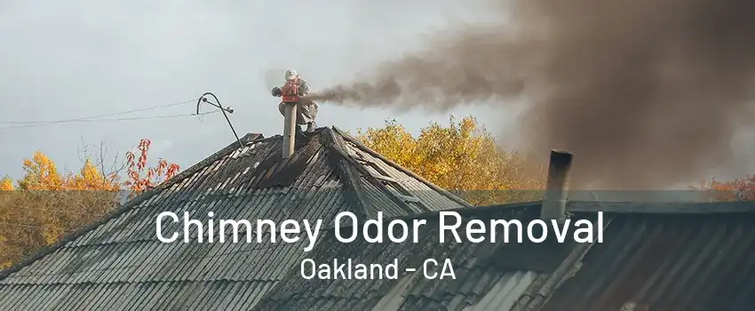 Chimney Odor Removal Oakland - CA