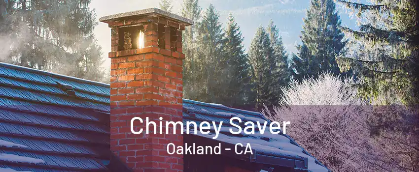 Chimney Saver Oakland - CA