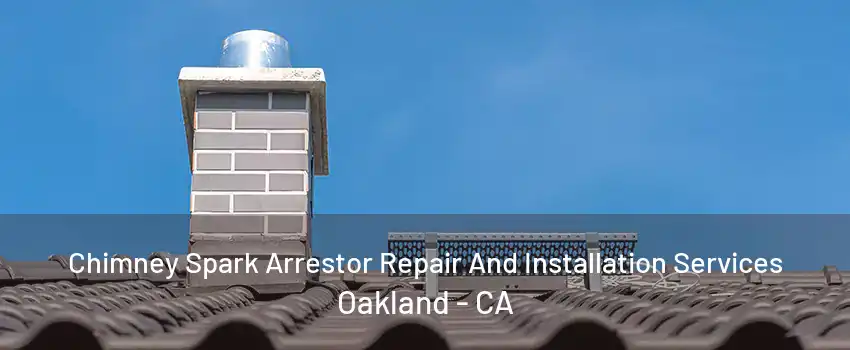 Chimney Spark Arrestor Repair And Installation Services Oakland - CA