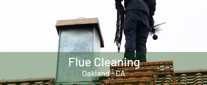 Flue Cleaning Oakland - CA