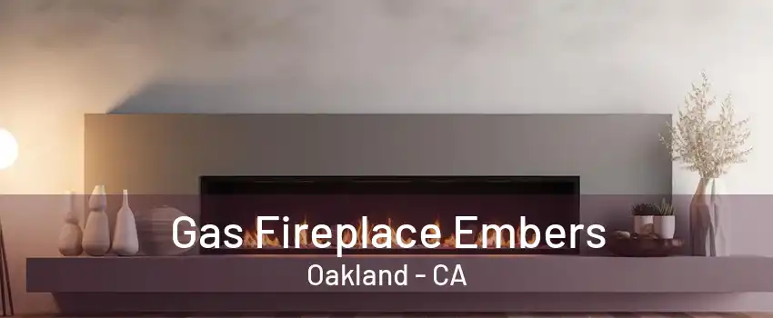 Gas Fireplace Embers Oakland - CA