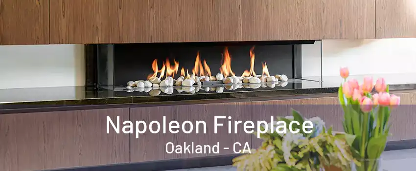 Napoleon Fireplace Oakland - CA